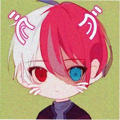 会员A