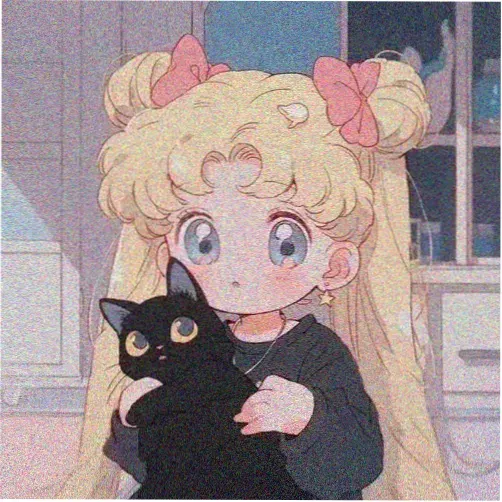 会员C